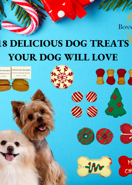 Christmas Dog Gift Box