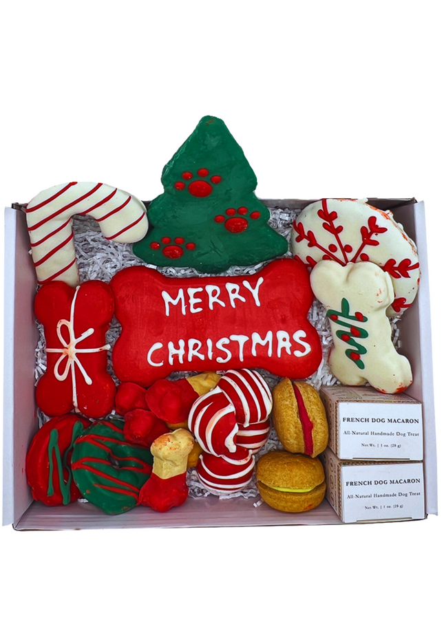 Christmas Dog Gift Box