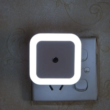 LED Night Light