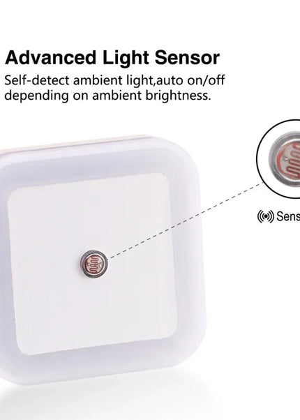LED Night Light