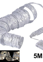 Silver Warm White 5M