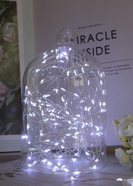 String Light Fairy Light